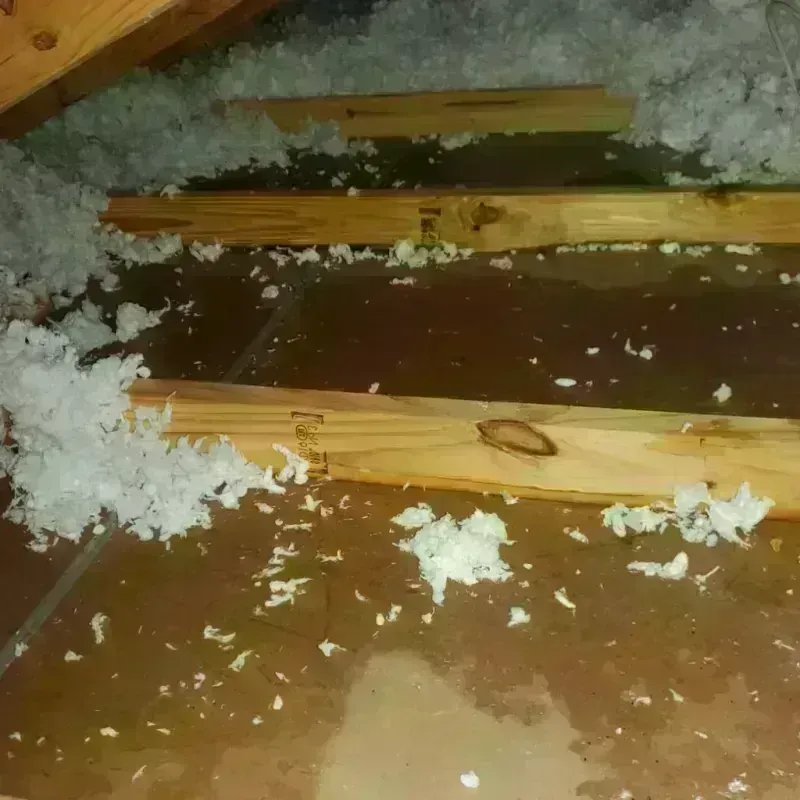 Attic Water Damage in Wallace County, KS