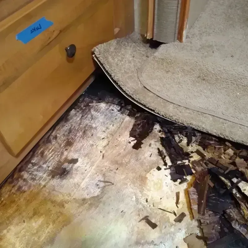 Wood Floor Water Damage in Wallace County, KS